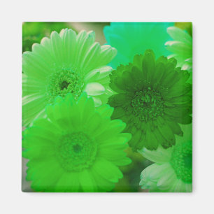 Green Gerbera Daisy Blume Kühlschrank Magnete Magnet