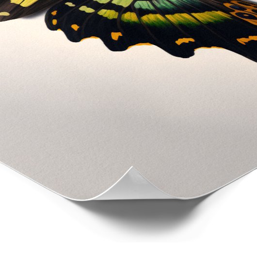 Green Goliath Birdwing Butterfly Art Print Poster (Ecke)