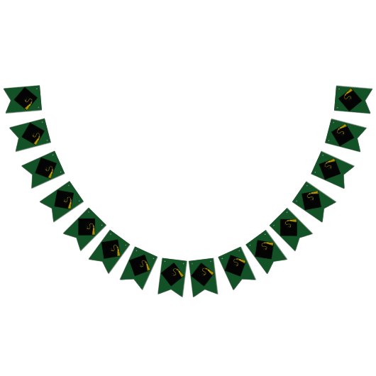 Green graduation party wimpelkette (Alle)