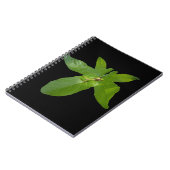 Green Graf Leaf Frog, Notebook Notizblock (Linke Seite)