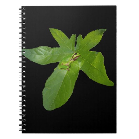 Green Graf Leaf Frog, Notebook Notizblock (Vorderseite)
