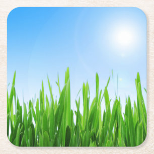 Green Grass And Sky Banner Rechteckiger Pappuntersetzer
