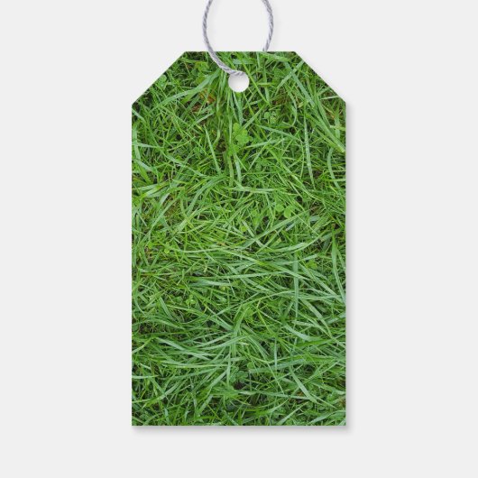 Green Grass Geschenkanhänger (Rückseite)