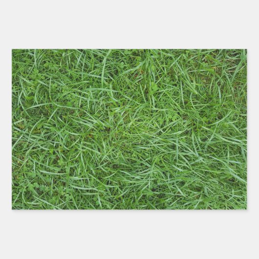 Green Grass Geschenkpapier Set (Vorderseite 3)