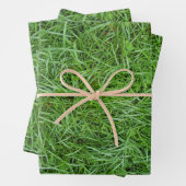 Green Grass Geschenkpapier Set (Beispiel)