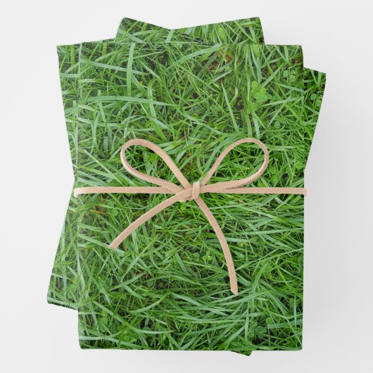 Green Grass Geschenkpapier Set (Beispiel)