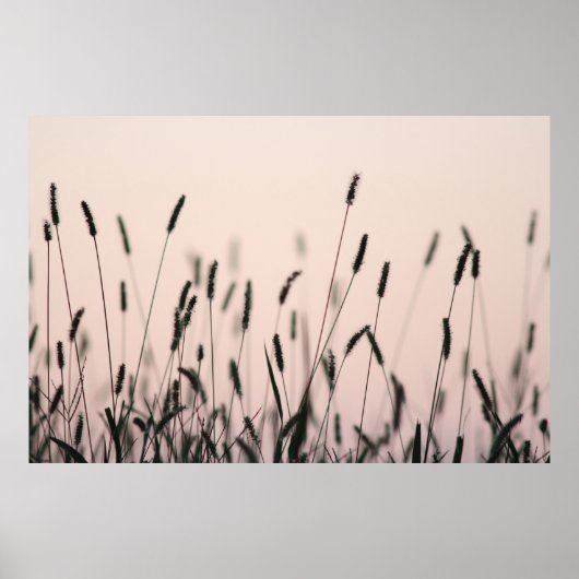GREEN GRASS POSTER (Vorne)