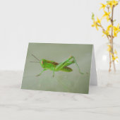 Green Grasshopper-Karte Karte (Gelbe Blume)