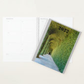 green greenhouse  ficus repens on planner planer (Anzeige)
