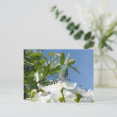 Green Hairstreak Butterfly DIY Postkarte (Stehend Vorderseite)