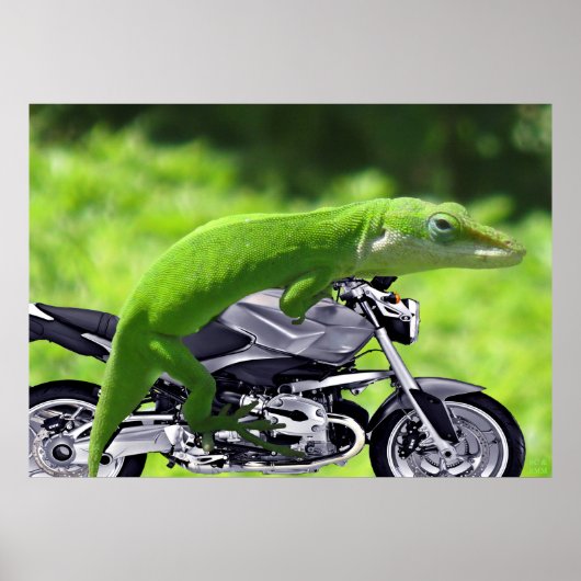 Green Hawaiian Gecko Rider Poster (Vorne)