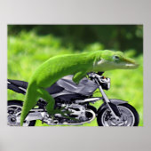 Green Hawaiian Gecko Rider Poster (Vorne)