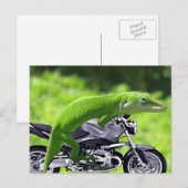 Green Hawaiian Gecko Rider Postkarte (Vorne/Hinten)