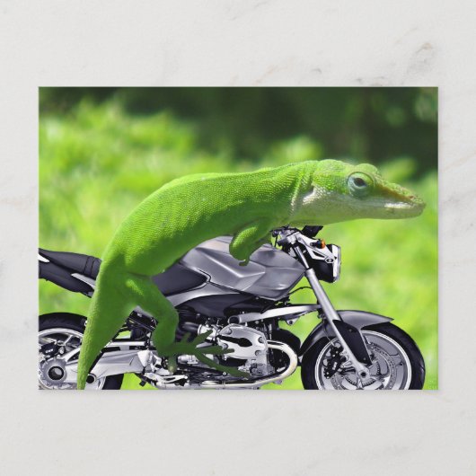 Green Hawaiian Gecko Rider Postkarte (Vorderseite)
