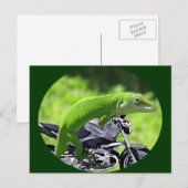 Green Hawaiian Gecko Rider Postkarte (Vorne/Hinten)