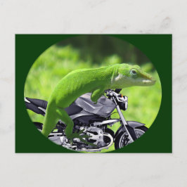 Green Hawaiian Gecko Rider Postkarte