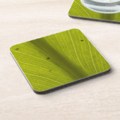 Green Hawaiin Leaf Nah hoch Untersetzer (Linke Seite)