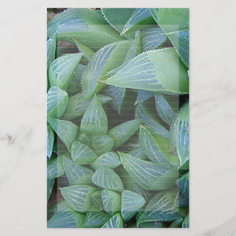 Green Haworthia Pflanze Lined Stationery Briefpapier