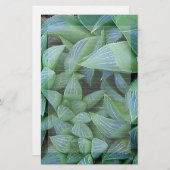 Green Haworthia Pflanze Lined Stationery Briefpapier (Vorne/Hinten)