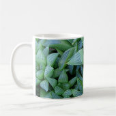 Green Haworthia Succulent Pflanze Gardener Tasse (Links)