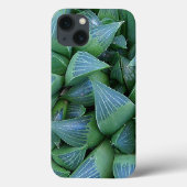 Green Haworthia Succulent Pflanze iPhone Case (Rückseite)