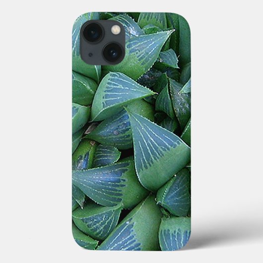 Green Haworthia Succulent Pflanze iPhone Case (Rückseite)