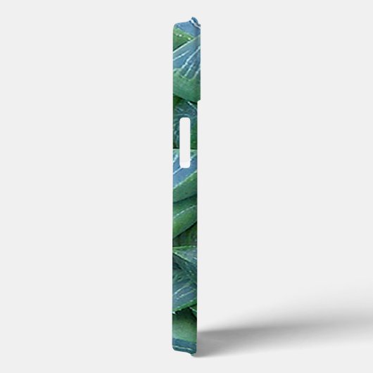 Green Haworthia Succulent Pflanze iPhone Case (Rückseite / Rechts)