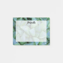 Green Haworthia Sukkulente Pflanze Custom Stickies