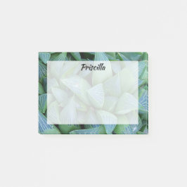 Green Haworthia Sukkulente Pflanze Custom Stickies Post-it Klebezettel