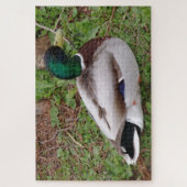 Green Head Duck Jigsaw Puzzle (Vertikal)