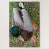 Green Head Duck Jigsaw Puzzle (Vertikal)