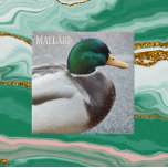 Green Headed Mallard Drake Fliese<br><div class="desc">Die naturbelassene Keramik,  die das Foto einer Mallard-Drache mit grünem Kopf,  dem Männchen der Ente,  darstellt. Wählen Sie Ihre Kachelgröße aus. Eine tolle Küche trivet!</div>