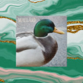Green Headed Mallard Drake Fliese