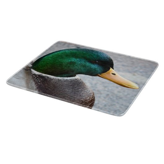 Green Headed Mallard Drake Foto Schneidebrett (Ecke)