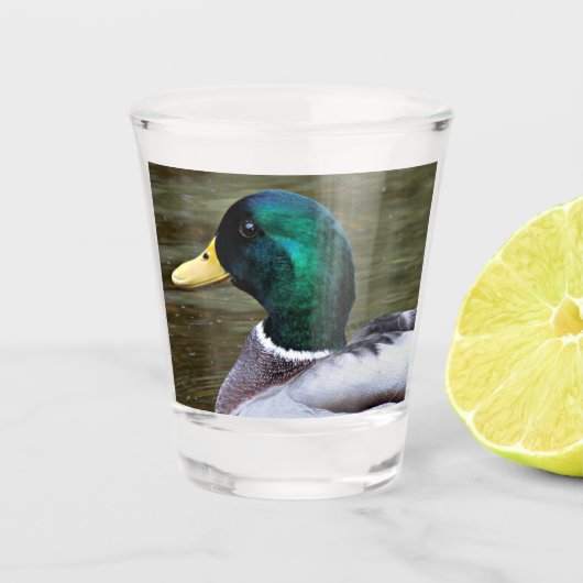 Green Headed Mallard Duck Schnapsglas (Vorderseite)