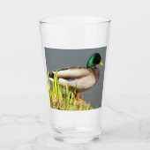 Green Headed Mallard Duck Wildlife Foto Glas (Vorderseite)