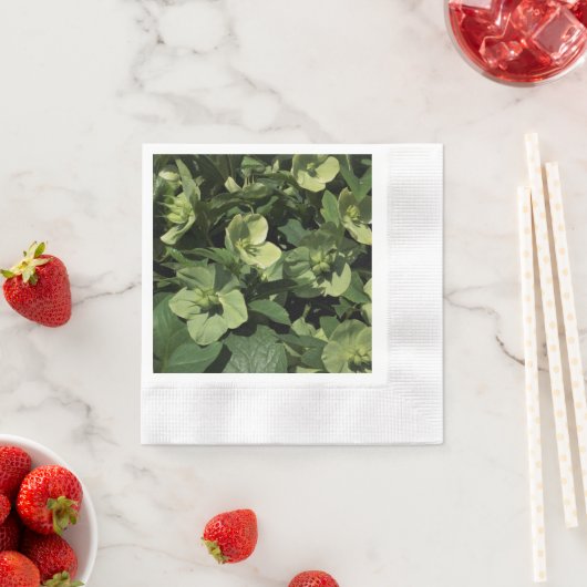 Green Hellebore Serviette (Beispiel)