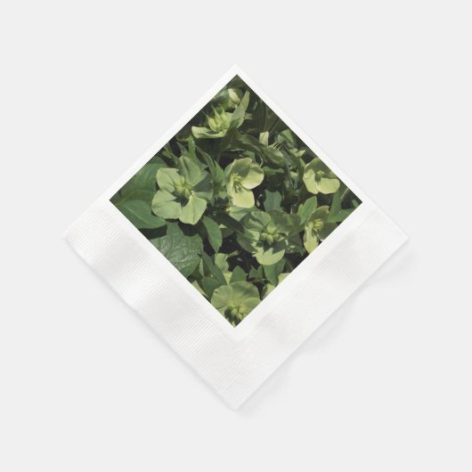 Green Hellebore Serviette (Ecke)