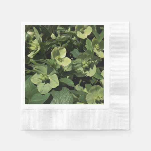 Green Hellebore Serviette (Vorderseite)