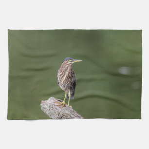 Green Heron auf einem Stein Handtuch