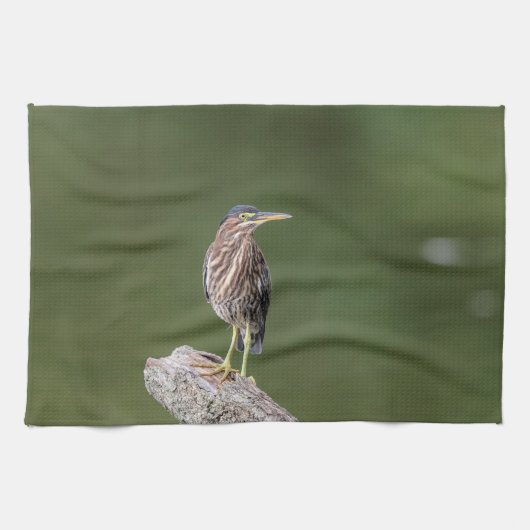 Green Heron auf einem Stein Handtuch (Horizontal)