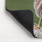 Green Heron auf einem Stein Mousepad (Ecke)