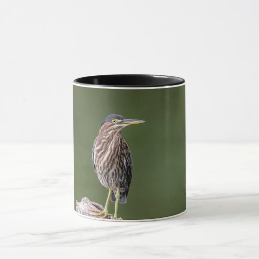 Green Heron auf einem Stein Tasse (Zentrum)