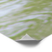 Green Heron Bird Foto Poster (Ecke)