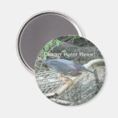 Green Heron Ecology Magnet (Vorderseite/Rückseite)