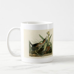 Green Heron, John James Audubons Vögel in Amerika Kaffeetasse