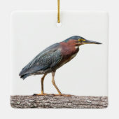 Green Heron Keramikornament (Rückseite)