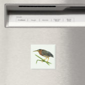 Green Heron Magnet (In Situ (Geschirrspüler))