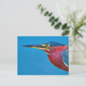 Green Heron Postcard Postkarte (Stehend Vorderseite)