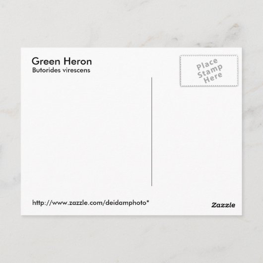 Green Heron Postcard Postkarte (Rückseite)